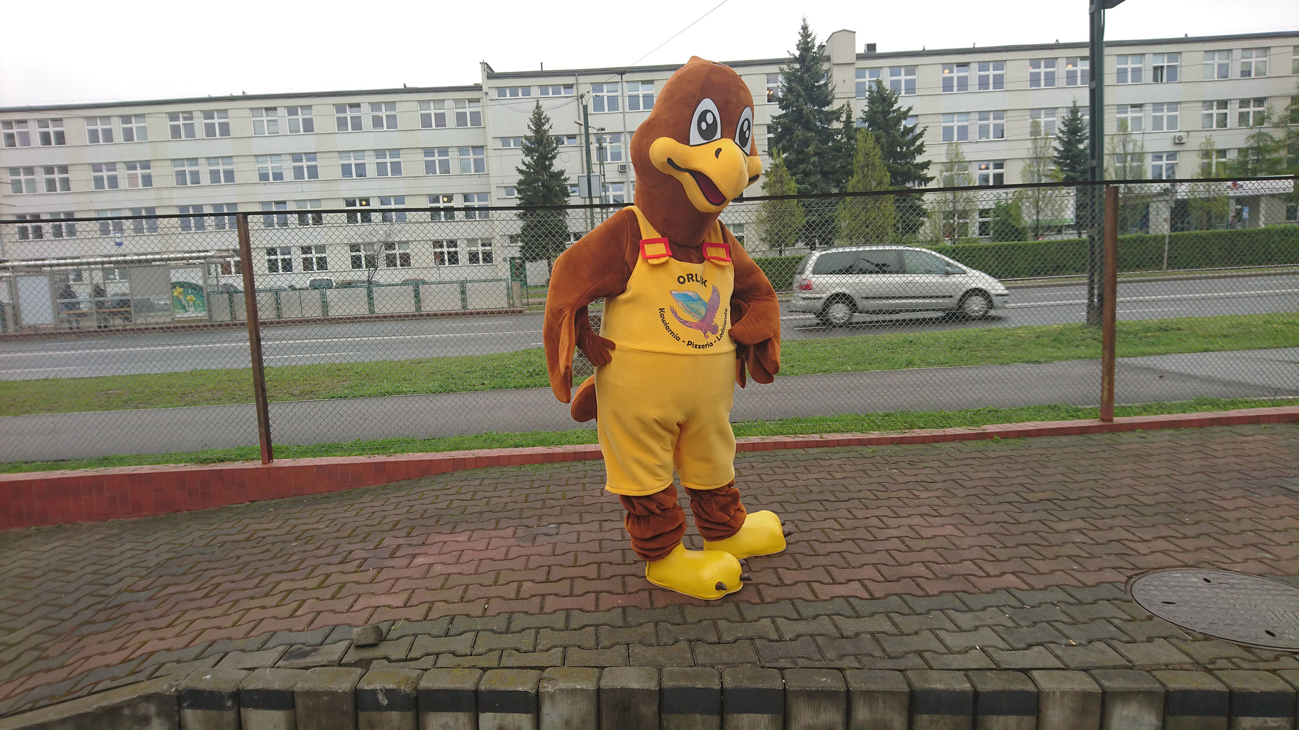 Czy wiesz czym tak naprawdę jest projektowanie kostiumów reklamowych? Orzeł 